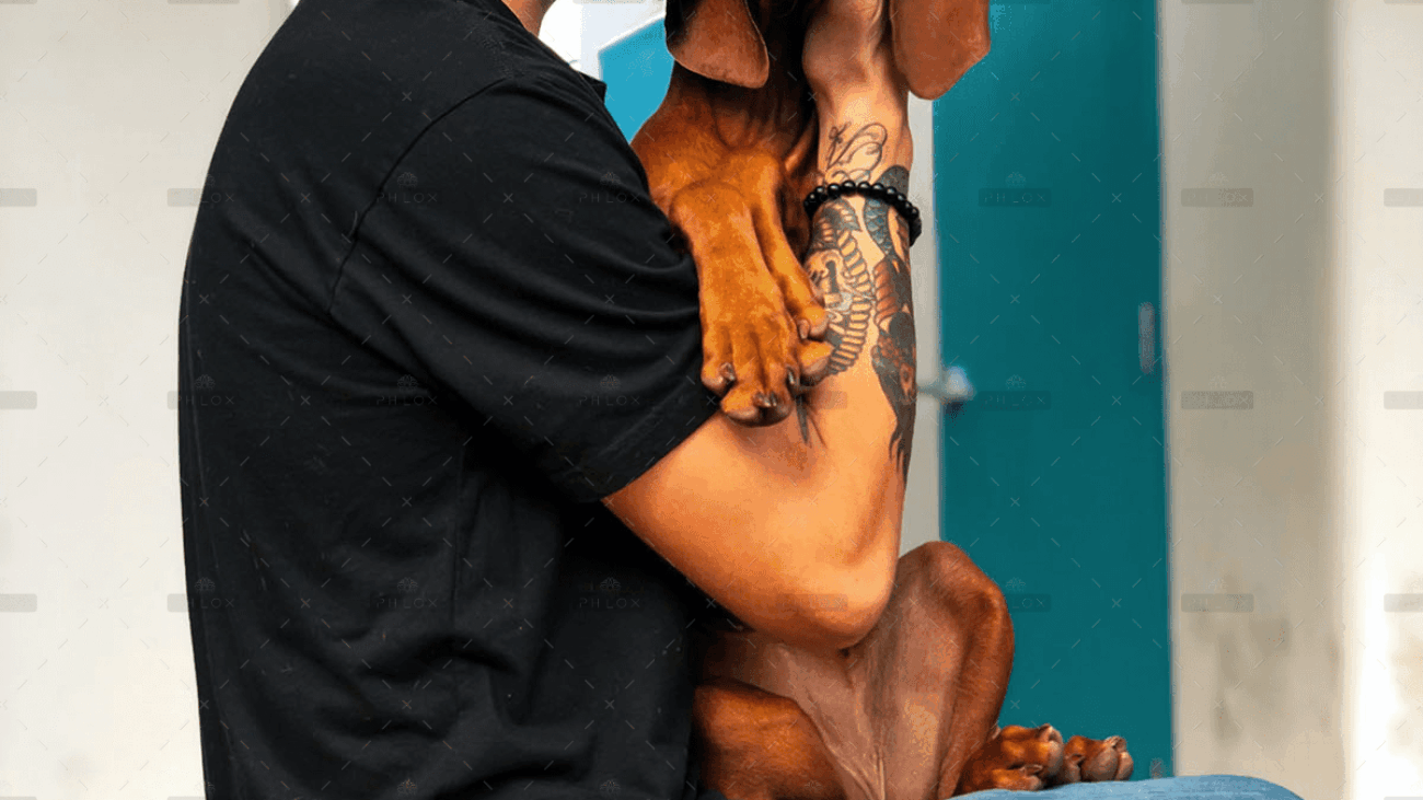 demo-attachment-4063-pexels-charles-roth-2745151